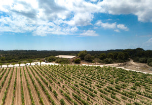 
                  
                    Sa Rota Crianza 2018 | Bodegas Bordoy - D.O. Pla i Llevant
                  
                