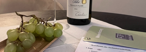 
                  
                    Rotweinpassion: Rotwein und Käseverkostung in der Artbar F37
                  
                