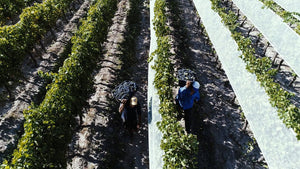 
                  
                    Gran Reserva Bicentenario - Malbec Merlot 2019 | Jorge Rubio - Mendoza
                  
                