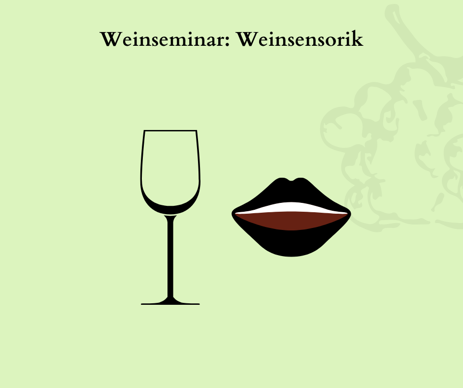 Weinseminar „Weinsensorik“ in der Artbar F37