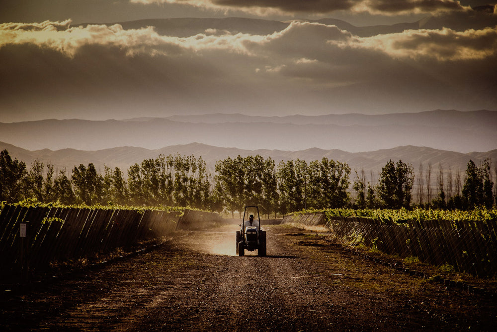 
                  
                    Puro - Malbec Cabernet 2021 | Dieter Meier - Mendoza
                  
                