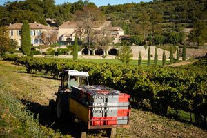 
                  
                    Miraval Rosé Côtes de Provence 2022 | Miraval - Provence
                  
                