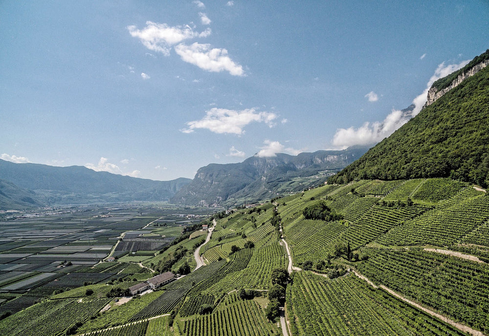 
                  
                    Chardonnay 2021 | Peter Zemmer Südtirol
                  
                